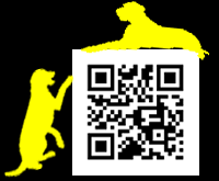Scan with a QR Code Reader App